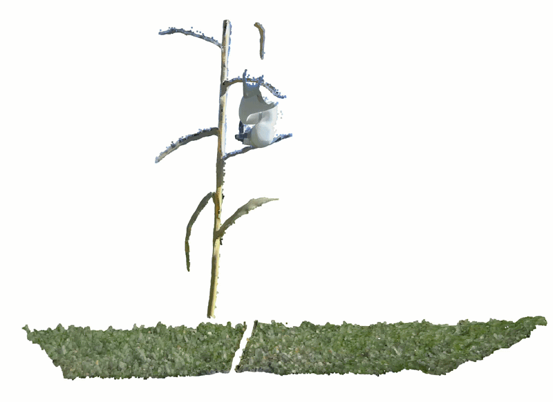 3D Point Cloud