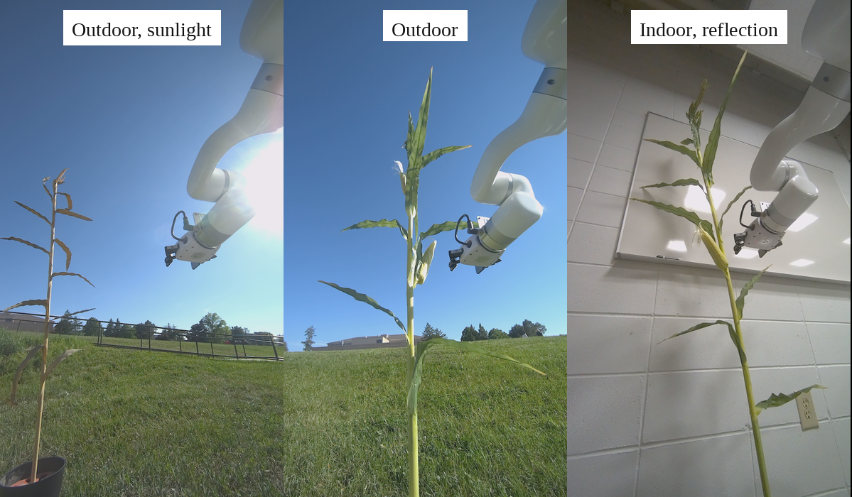Dataset Row 1