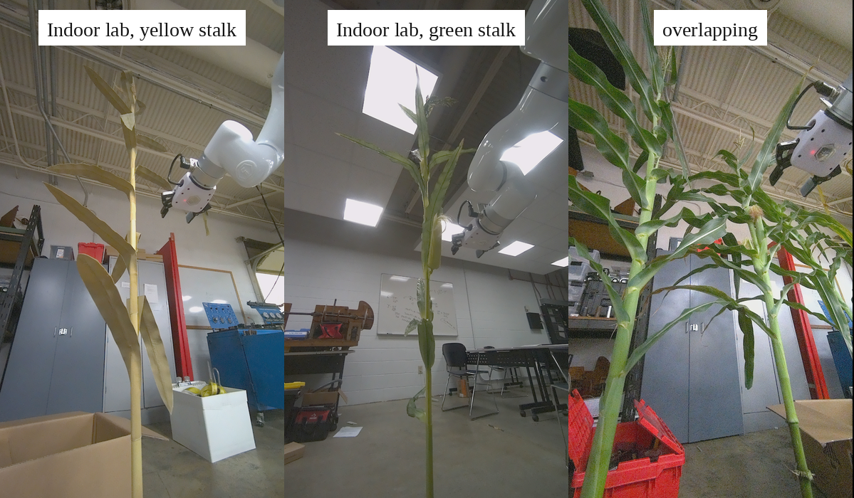 Dataset Row 2