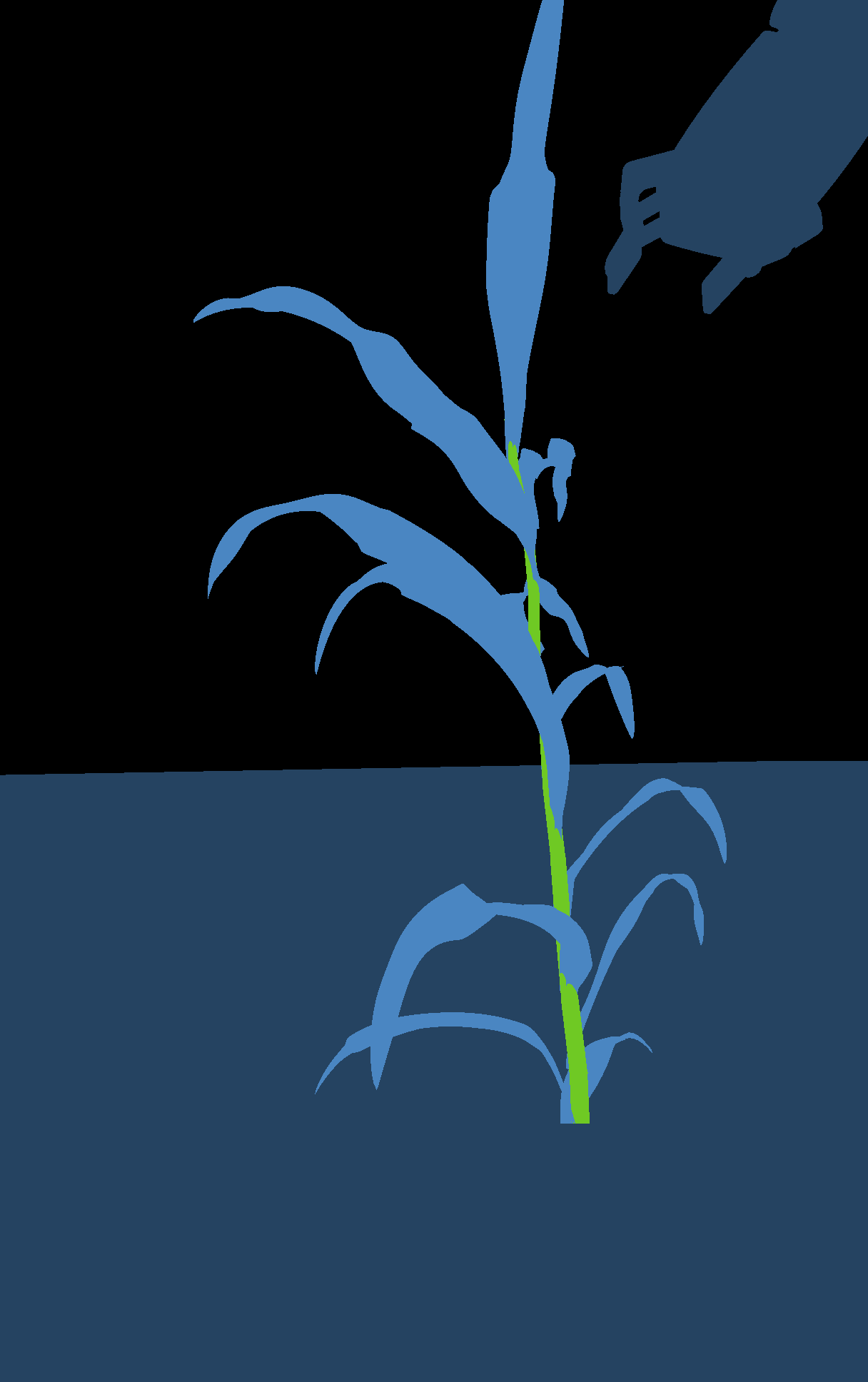 Segmentation