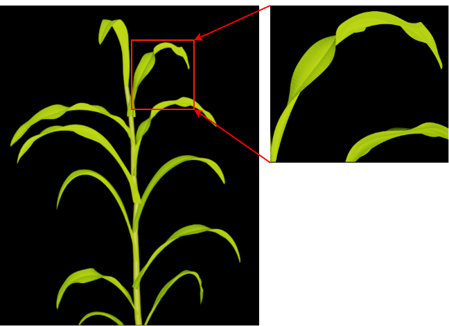 Plant Mesh